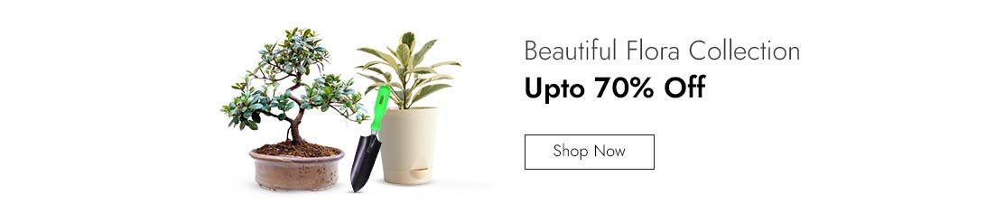 13thJuLy_Plants_Gold_PR